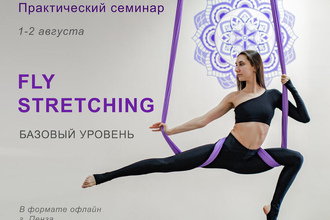Fly Stretching, базовый уровень Практический семинар.